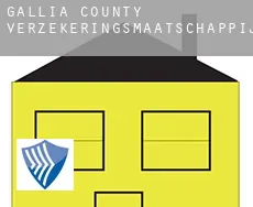 Gallia County  verzekeringsmaatschappij