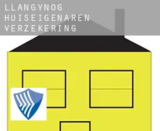 Llangynog  huiseigenaren verzekering