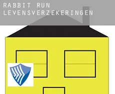 Rabbit Run  levensverzekeringen