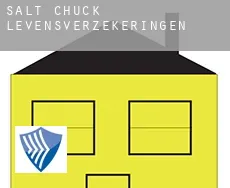 Salt Chuck  levensverzekeringen