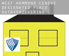 West Hammond  autoverzekering