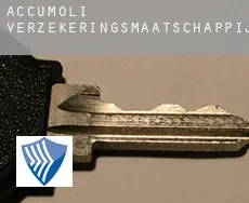 Accumoli  verzekeringsmaatschappij