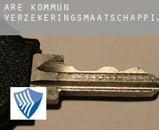 Åre Kommun  verzekeringsmaatschappij