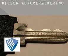 Bieber  autoverzekering
