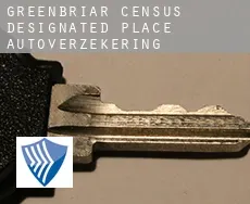 Greenbriar  autoverzekering