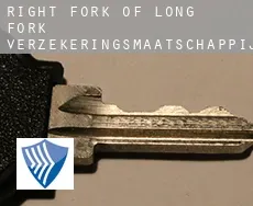 Right Fork of Long Fork  verzekeringsmaatschappij