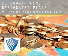 El Brazil  verzekeringsmaatschappij