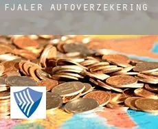 Fjaler  autoverzekering