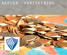 Napier  verzekering