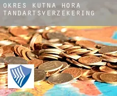 Okres Kutná Hora  tandartsverzekering