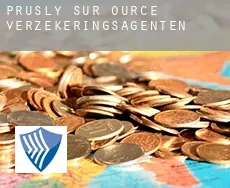 Prusly-sur-Ource verzekeringsagenten