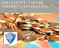 San Pietro di Cadore  tandartsverzekering