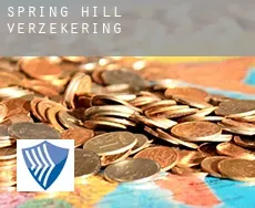 Spring Hill  verzekering
