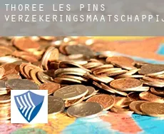 Thorée-les-Pins  verzekeringsmaatschappij