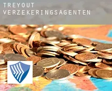 Tréyout  verzekeringsagenten