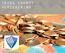 Trigg County  verzekering