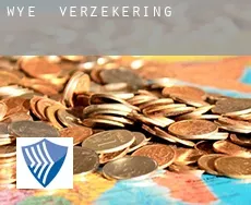 Wye  verzekering