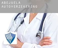 Abejuela  autoverzekering
