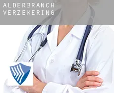 Alderbranch verzekering