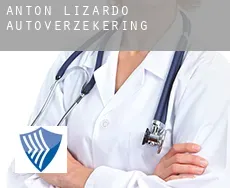 Antón Lizardo  autoverzekering