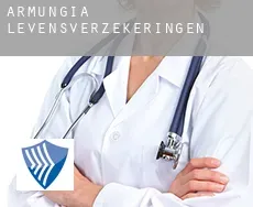 Armungia  levensverzekeringen