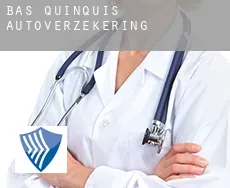 Bas Quinquis  autoverzekering