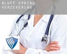 Bluff Spring verzekering