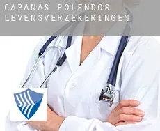 Cabañas de Polendos  levensverzekeringen