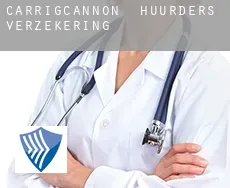 Carrigcannon  huurders verzekering