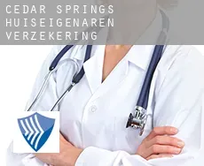 Cedar Springs  huiseigenaren verzekering