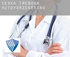 Česká Třebová autoverzekering