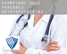 Champigny-sous-Varennes  autoverzekering