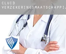 Cluid  verzekeringsmaatschappij