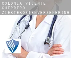 Colonia Vicente Guerrero  ziektekostenverzekering