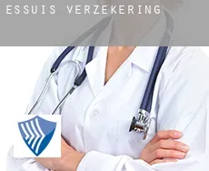 Essuis  verzekering