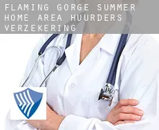 Flaming Gorge Summer Home Area  huurders verzekering