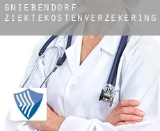 Gniebendorf  ziektekostenverzekering