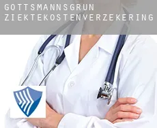 Gottsmannsgrün  ziektekostenverzekering