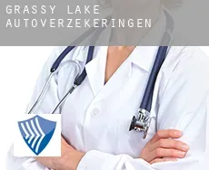 Grassy Lake  autoverzekeringen
