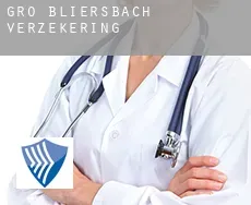 Groß Bliersbach  verzekering