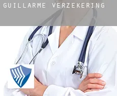 Guillarme  verzekering