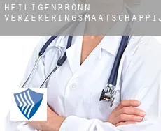 Heiligenbronn  verzekeringsmaatschappij