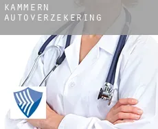 Kammern  autoverzekering