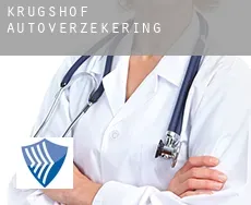 Krugshof  autoverzekering