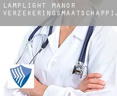 Lamplight Manor  verzekeringsmaatschappij
