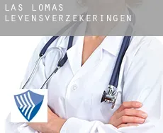 Las Lomas  levensverzekeringen