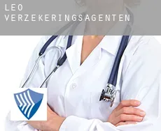 Leo  verzekeringsagenten