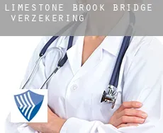 Limestone Brook Bridge  verzekering