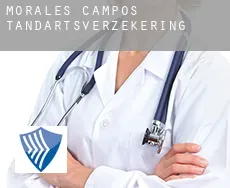 Morales de Campos  tandartsverzekering
