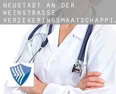Neustadt an der Weinstraße Stadt  verzekeringsmaatschappij